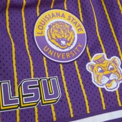 Men Mitchell & Ness Shorts-City Collection Mesh Shorts Louisiana State University