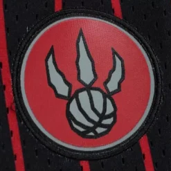 Men Mitchell & Ness Shorts-City Collection Mesh Shorts Toronto Raptors