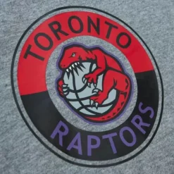 Men Mitchell & Ness T-Shirts & Tops-City Collection S/S Tee Toronto Raptors
