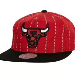 Mitchell & Ness Snapback-City Pinstripe Deadstock Chicago Bulls