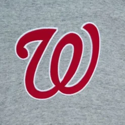 Men Mitchell & Ness Hoodies & Sweatshirts-Classic French Terry Hoodie Washington Nationals