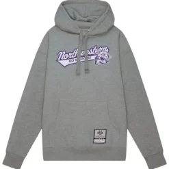 Men Mitchell & Ness Hoodies & Sweatshirts-College Tailsweep Pullover Northwestern University