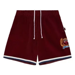 Men Mitchell & Ness Shorts-Collegiate Fashion Shorts Chicago Bulls