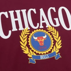 Men Mitchell & Ness T-Shirts & Tops-Collegiate Ivy League Ls Chicago Bulls