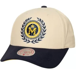 Mitchell & Ness Snapback-Collegiate Pro Snapback V University Of Michigan