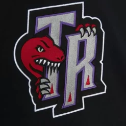 Men Mitchell & Ness Hoodies & Sweatshirts-Color Blocked Fleece 2.0 Toronto Raptors