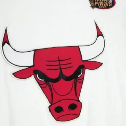 Men Mitchell & Ness T-Shirts & Tops-Color Blocked S/S Tee Chicago Bulls