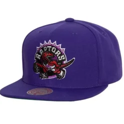 Mitchell & Ness Snapback-Conference Patch Snapback Hwc Toronto Raptors