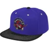 Mitchell & Ness Snapback-Contrast Stitch Snapback Hwc Toronto Raptors