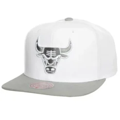 Mitchell & Ness Snapback-Cool Gray 7 Snapback Chicago Bulls