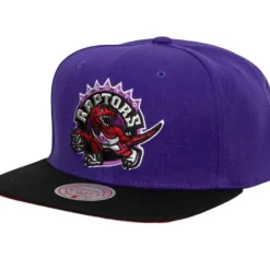 Mitchell & Ness Snapback-Core Basic Snapback Hwc Toronto Raptors