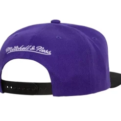 Mitchell & Ness Snapback-Core Basic Snapback Hwc Toronto Raptors