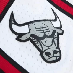 Men Mitchell & Ness Shorts-Cracked Cement Swingman Shorts Chicago Bulls 1997-98