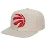 Mitchell & Ness Snapback-Cut Away Snapback Toronto Raptors