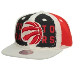 Mitchell & Ness Snapback-Cut Away Snapback Toronto Raptors