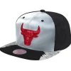 Mitchell & Ness Snapback-Day 5 Snapback Chicago Bulls