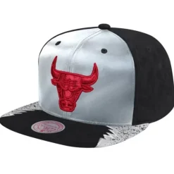 Mitchell & Ness Snapback-Day 5 Snapback Chicago Bulls