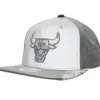 Mitchell & Ness Snapback-Day 5 Snapback Chicago Bulls