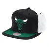 Mitchell & Ness Snapback-Day One Snapback Chicago Bulls