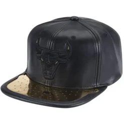 Mitchell & Ness Snapback-Day One Snapback Chicago Bulls