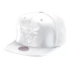 Mitchell & Ness Snapback-Day One Snapback Chicago Bulls
