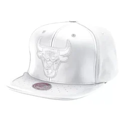 Mitchell & Ness Snapback-Day One Snapback Chicago Bulls