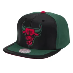 Mitchell & Ness Snapback-Day One Snapback Chicago Bulls