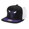 Mitchell & Ness Snapback-Day One Snapback Chicago Bulls