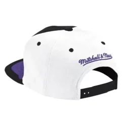 Mitchell & Ness Snapback-Day One Snapback Chicago Bulls