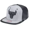 Mitchell & Ness Snapback-Day One Snapback Chicago Bulls