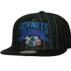 Mitchell & Ness Snapback-Dem Stripes Snapback Hwc Charlotte Hornets