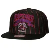Mitchell & Ness Snapback-Dem Stripes Snapback Hwc Toronto Raptors