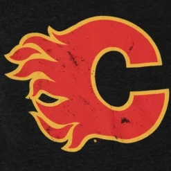 Men Mitchell & Ness Hoodies & Sweatshirts-Distressed Logo Hoody Calgary Flames