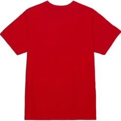 Men Mitchell & Ness T-Shirts & Tops-Distressed Logo Tee Florida Panthers