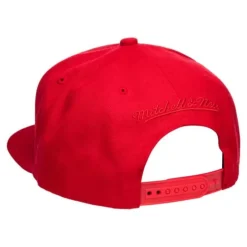 Mitchell & Ness Snapback-Domestic Hwc Team Ground Toronto Raptors