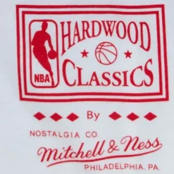 Men Mitchell & Ness T-Shirts & Tops-Dunk Tee Toronto Raptors