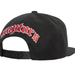 Mitchell & Ness Snapback-English Dropback Snapback Toronto Raptors