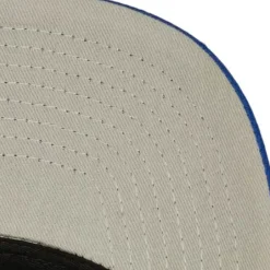 Mitchell & Ness Snapback-Evergreen Pro Snapback Coop Los Angeles Dodgers