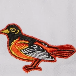 Mitchell & Ness Snapback-Evergreen Pro Snapback Coop Baltimore Orioles