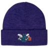 Mitchell & Ness Knit-Fandom Knit Beanie Hwc Charlotte Hornets