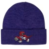 Mitchell & Ness Knit-Fandom Knit Beanie Hwc Toronto Raptors