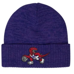 Mitchell & Ness Knit-Fandom Knit Beanie Hwc Toronto Raptors