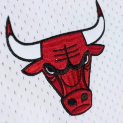 Men Mitchell & Ness T-Shirts & Tops-Fashion Mesh V-Neck Chicago Bulls