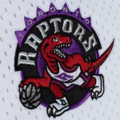 Men Mitchell & Ness T-Shirts & Tops-Fashion Mesh V-Neck Toronto Raptors