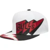 Mitchell & Ness Snapback-Fast Times Snapback Chicago Bulls
