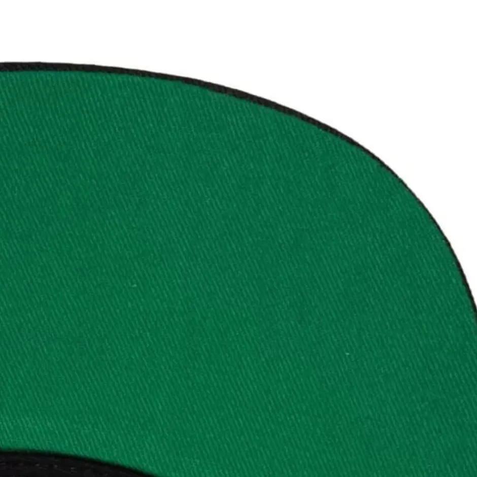 Mitchell & Ness Snapback-Front Loaded Snapback Hwc Toronto Raptors