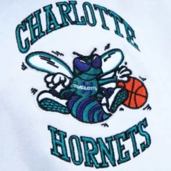 Men Mitchell & Ness Hoodies & Sweatshirts-Fusion Fleece 2.0 Charlotte Hornets