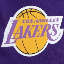Men Mitchell & Ness Shorts-Game Day Ft Shorts Los Angeles Lakers