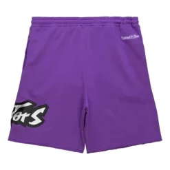 Men Mitchell & Ness Shorts-Game Day Ft Shorts Toronto Raptors