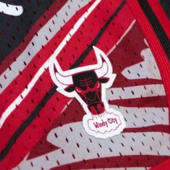 Men Mitchell & Ness Shorts-Game Day Pattern Short Chicago Bulls